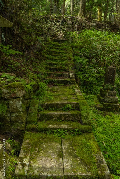Fototapeta 山中の苔むした階段
