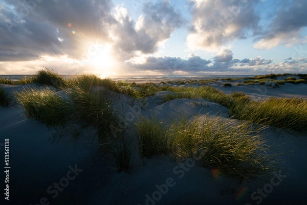Fototapeta In the dunes of Amrum island Germany with glowing grass and sand during sunset with dramatic sky