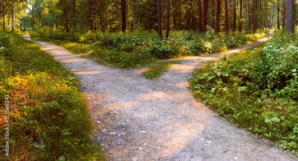Obraz From the wide path in the park, another alley branches off, going in the other direction. Various routes and destinations. conceptual landscape