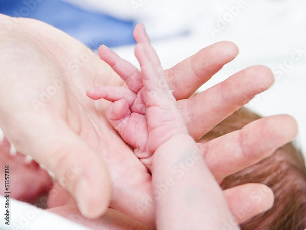 Fototapeta parental hand holds a palm of the baby