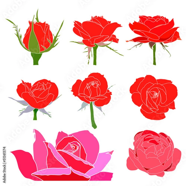Obraz vector roses set