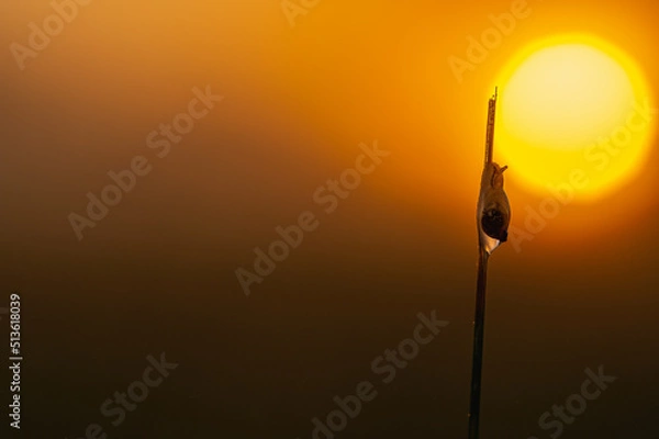 Fototapeta W stronę słońca