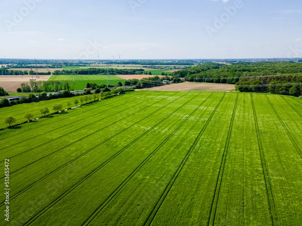 Fototapeta Farmland from above. Aerial view over green fields