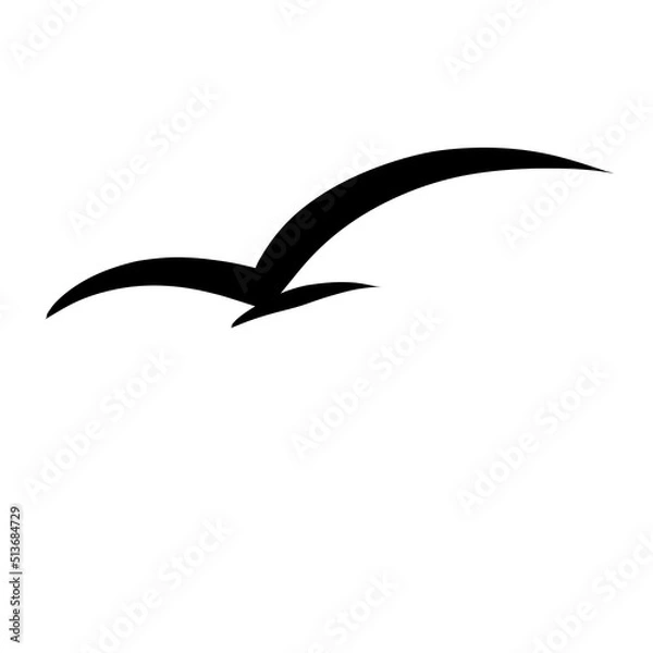 Fototapeta Bird, Fly, Flying birds, Aflock flying birds, Vector format