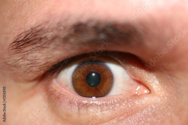 Obraz Eye