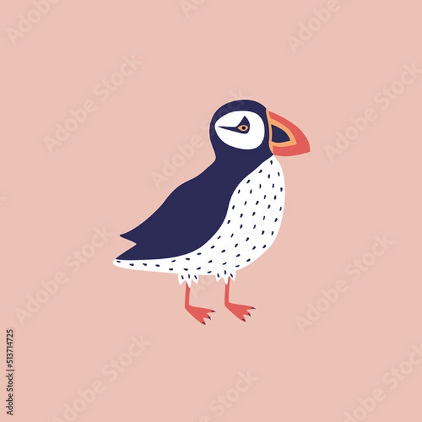 Obraz Adorable puffin hand drawn vector illustration. Funny colorful isolated Icelandic bird in flat style for logo or icon.