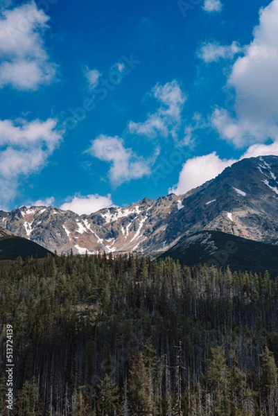 Fototapeta View of High Tatras mountain range near Velické pleso. 