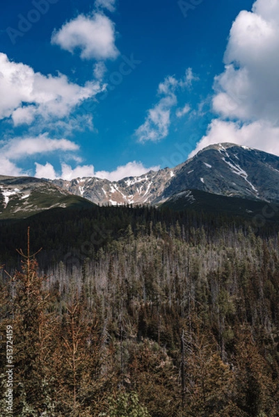 Fototapeta View of High Tatras mountain range near Velické pleso. 
