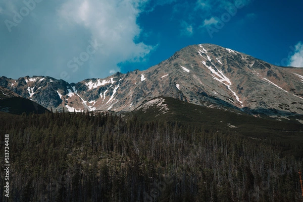 Fototapeta View of High Tatras mountain range near Velické pleso. 