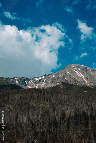 Fototapeta View of High Tatras mountain range near Velické pleso. 
