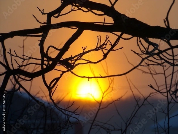 Obraz KODAK Digital Still Camera