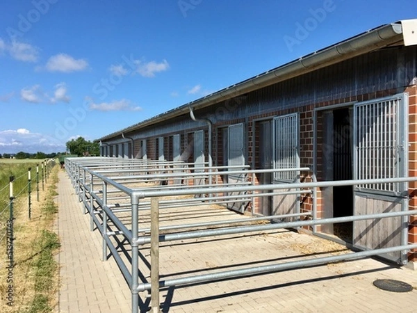Obraz house on the beach