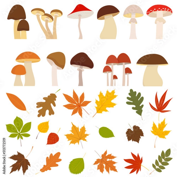 Obraz mushrooms with leaves set, autumn in flat design, isolated vector