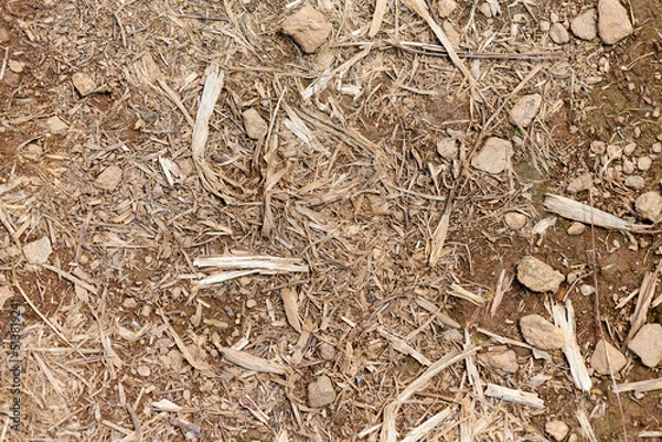 Fototapeta Mulch - Texture