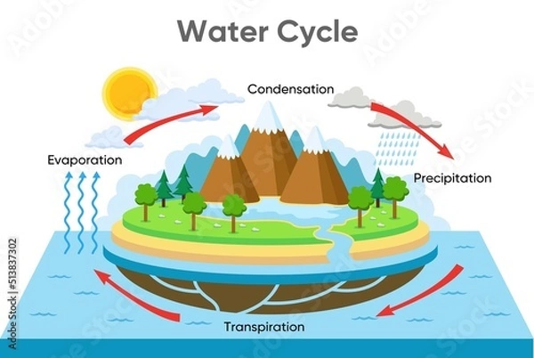 Fototapeta water cycle diagram with rainfall and ocean, vector design illustration
