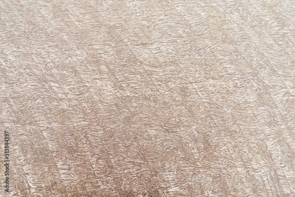 Fototapeta 円弧を描く板の木目