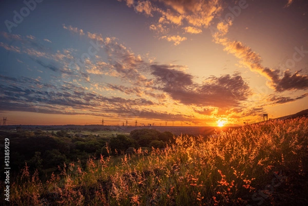Obraz sunset in the field