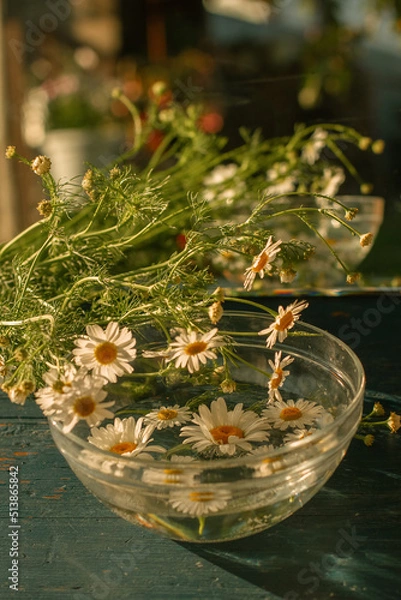 Obraz нежный букет из полевых ромашек