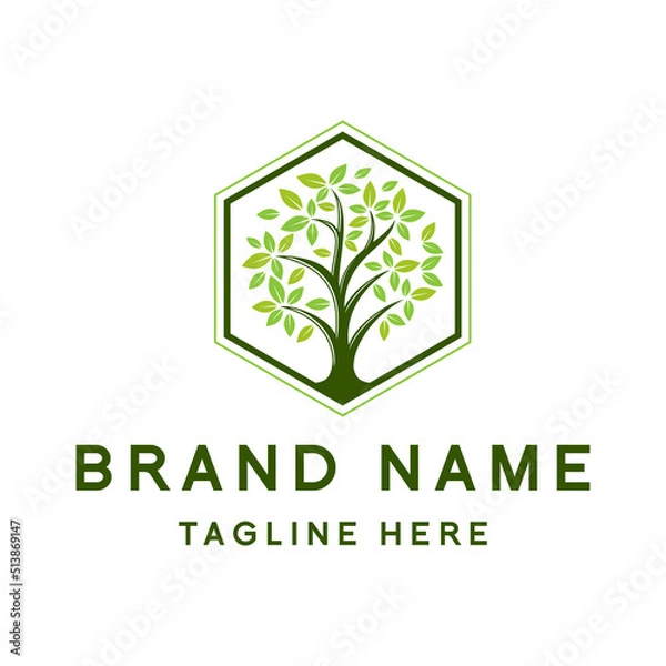 Fototapeta Tree logo design, simple hexagon shape