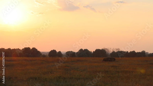 Fototapeta Sunset over water meadows between the Staritsa River and the village of Agro-Pustyn