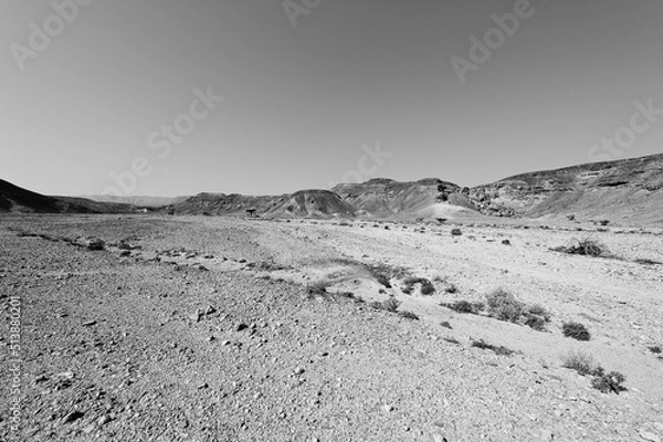 Fototapeta Depression and emptiness in black and white