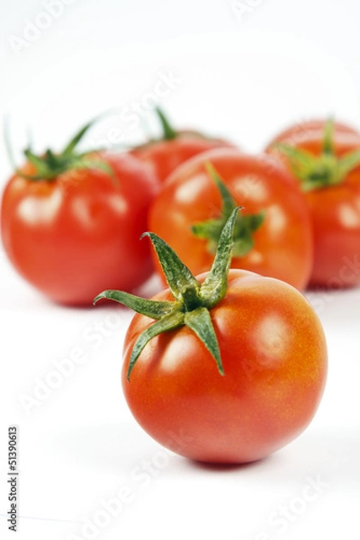 Obraz RED TOMATOES