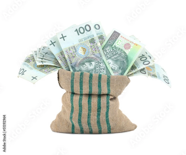 Obraz Money in the bag isolated