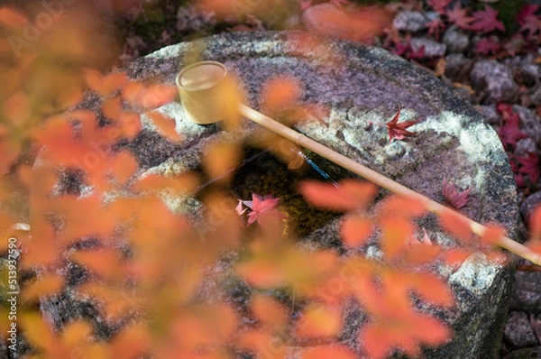 Obraz 京都 金福寺の紅葉と庭園