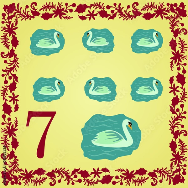 Fototapeta The 12 Days of Christmas 7th Day Seven Swans A Swimming