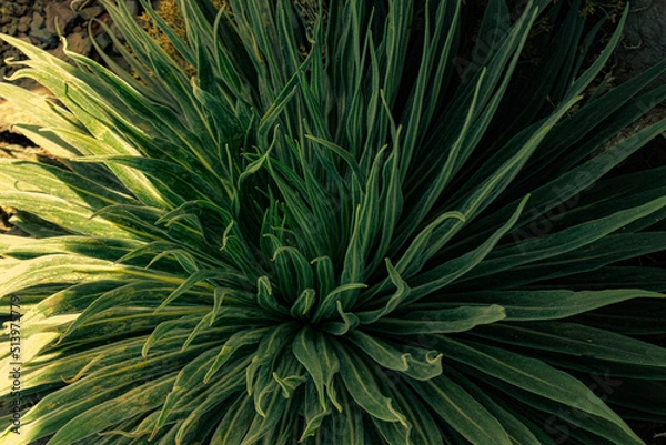 Obraz abstract background