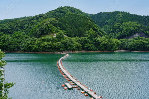 Obraz 奥多摩湖　麦山の浮橋（ドラム缶橋）　初夏