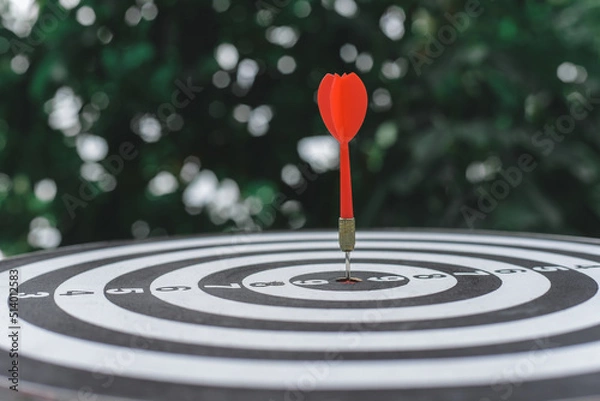Fototapeta Red dart arrow hit the center target of dartboard with blur background. Target business or market goals concept