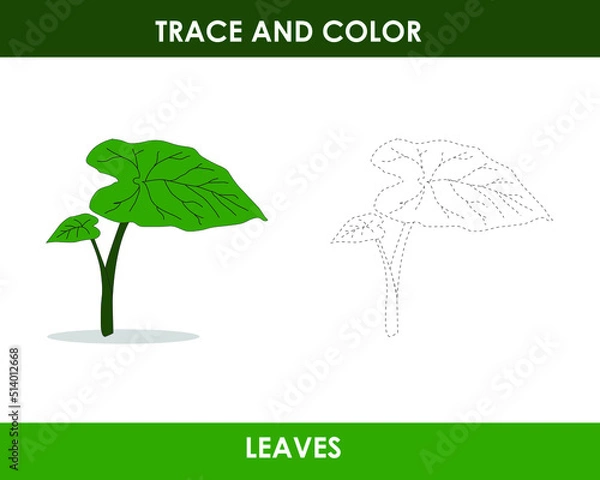 Fototapeta Hand drew leaves outline illustration trace and color