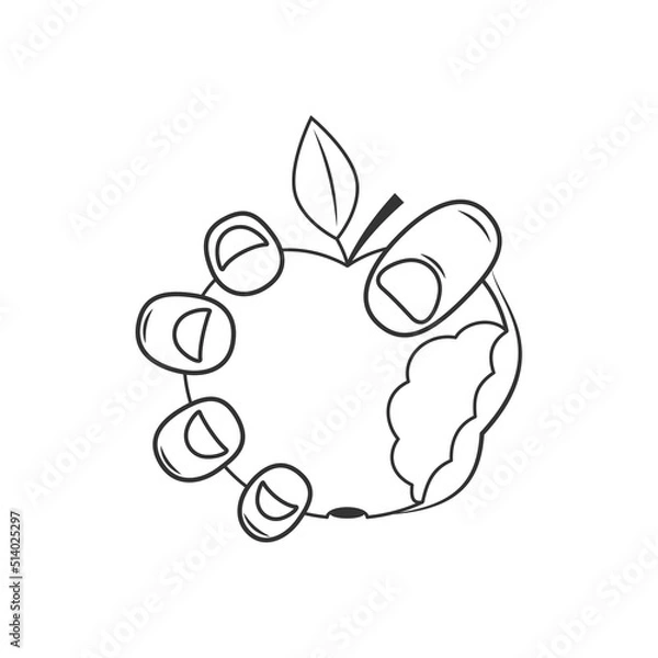 Fototapeta Vector apple icon in hand. Simple drawing of a hand giving an apple.