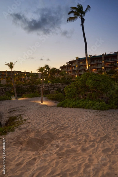 Obraz palm trees on the beach at sunset