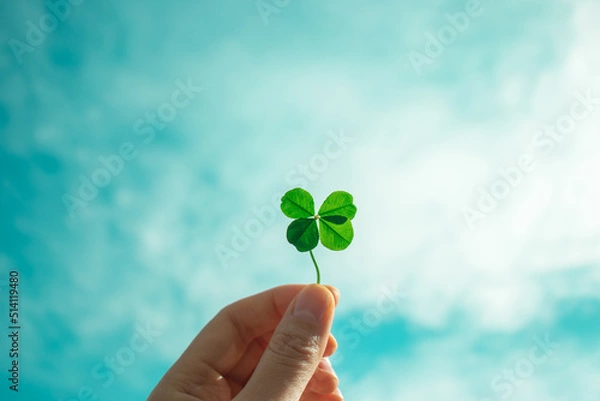 Fototapeta Four-Leaf Clover with blue sky background. Symbol of good luck.
