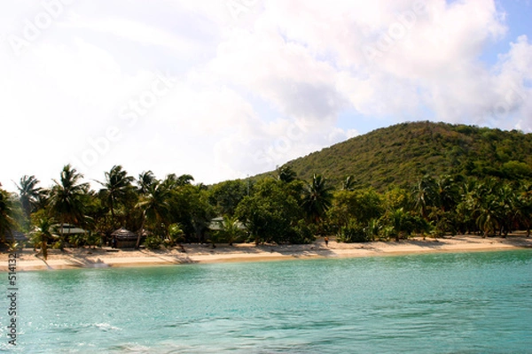 Fototapeta plage îles grenadines