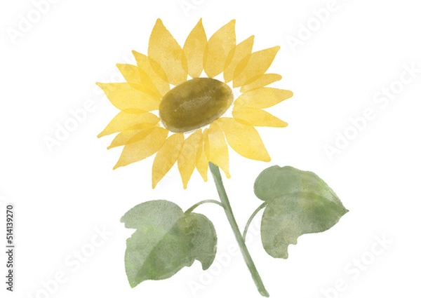 Fototapeta ひまわりの水彩イラスト
