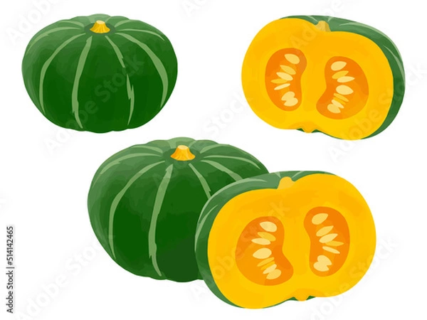 Obraz かぼちゃ_ベクターイラスト【※EPSデータは画像トレース後、モチーフごとにグループ化しています】 