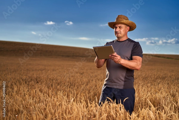 Fototapeta Farmer with a tablet in a wheat field