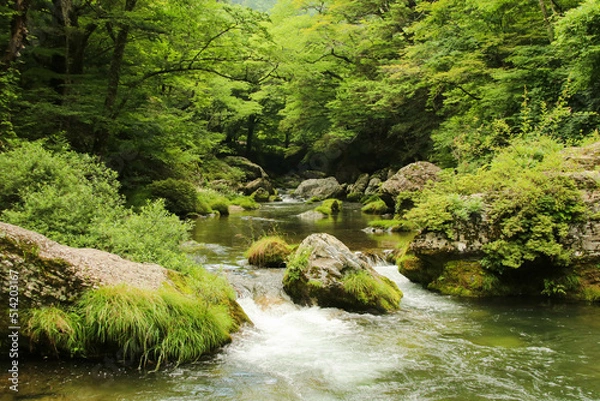 Fototapeta 愛媛県内子町　小田深山渓谷の風景
