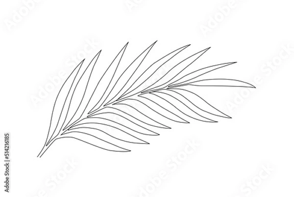 Obraz Continuous one line tree leaf. Vector illustration.