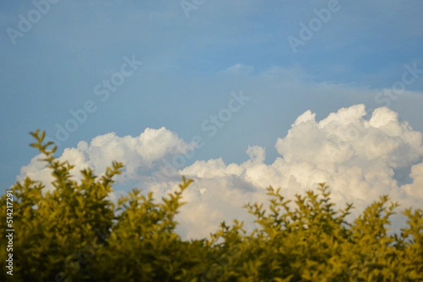 Fototapeta clouds over the field