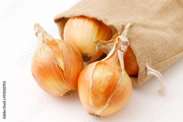 Fototapeta 玉ねぎ