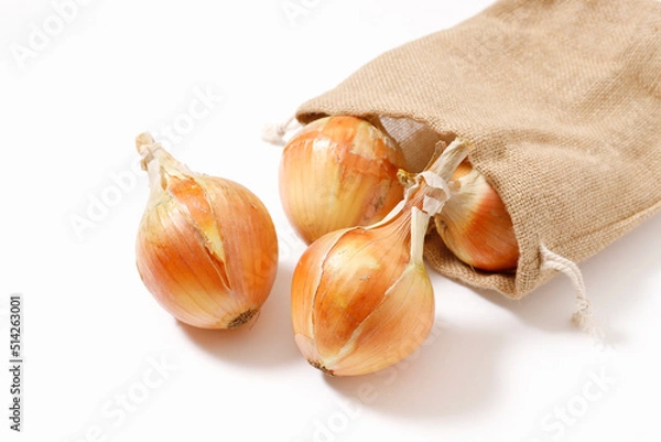 Fototapeta 玉ねぎ