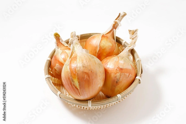Fototapeta 玉ねぎ