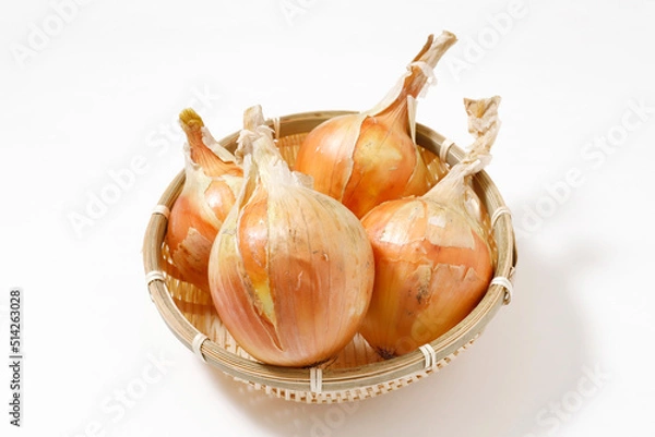Fototapeta 玉ねぎ