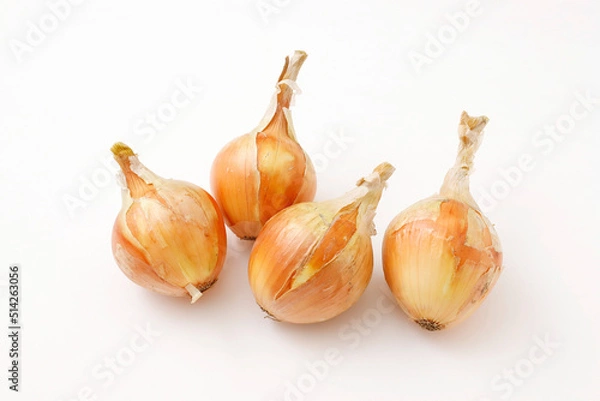 Fototapeta 玉ねぎ