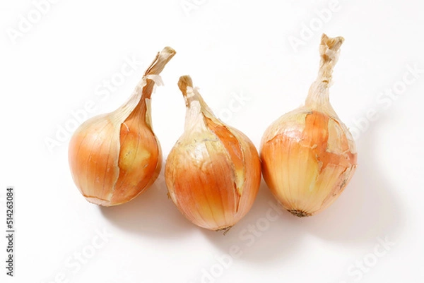Fototapeta 玉ねぎ