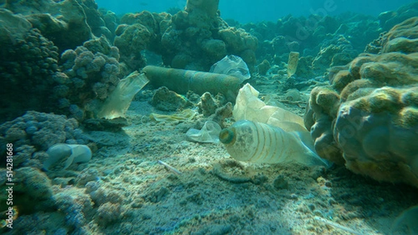 Fototapeta Seabed of beautiful coral reef covered with plastic and other garbage, Red sea, Egypt